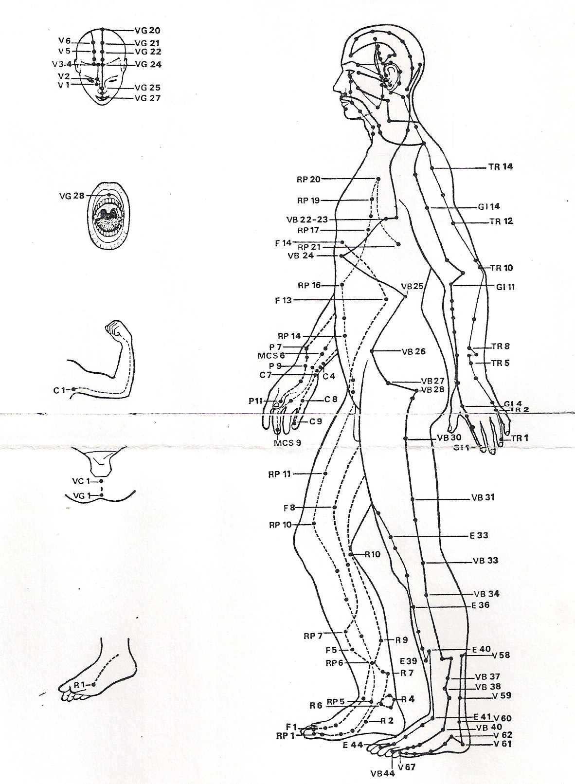 Les méridiens et points de la medecine chinoise, vue de profil. Les canaux, méridiens énergétiques, en médecine traditionnelle chinoise