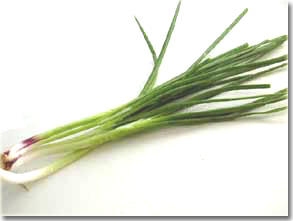 Ciboule spring onion