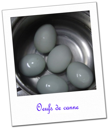 Oeufs de canne duck eggs