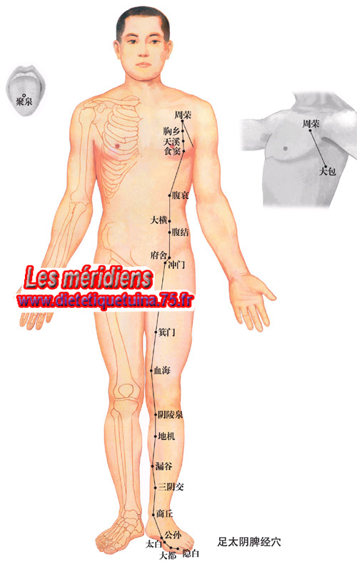 Méridien principal de la rate