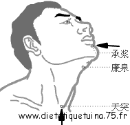 Détail des points du vaisseau conception sur le cou et visage Points d'acupuncture du vaisseau conception