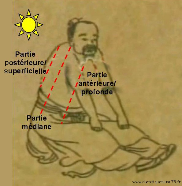 Profondeur des énergies Yin et Yang et des méridiens chinois
