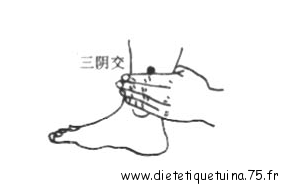 Le point San Yin Jiao du méridien de la Rate Le point San Yin Jiao