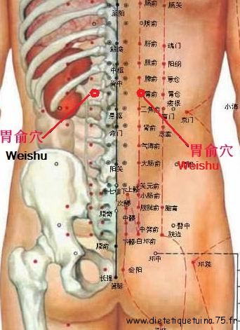 Point wei shu, 21ème point du méridien de la vessie (21V) Vingt et unième point du méridien de la vessie selon la médecine chinoise