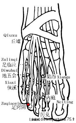Point zuqiaoyin du méridien de la vésicule biliaire Point d'acupuncture 44VB