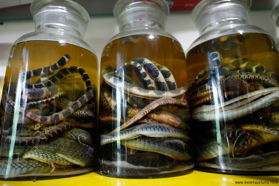 Alcool de serpent Serpents plongés dans l'alcool