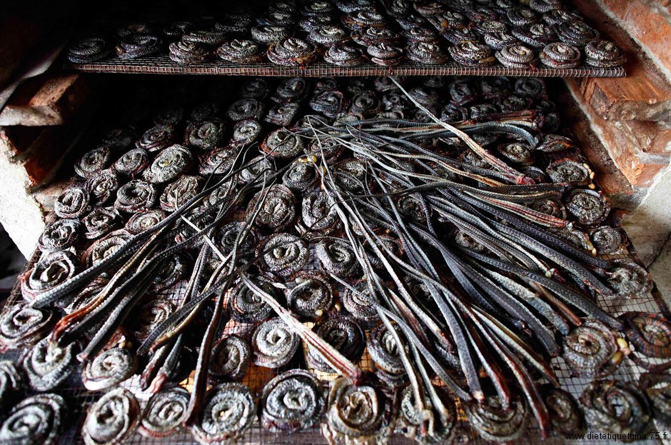 Serpents séchés pour la médecine chinoise Serpents utilisés en médecine chinoise