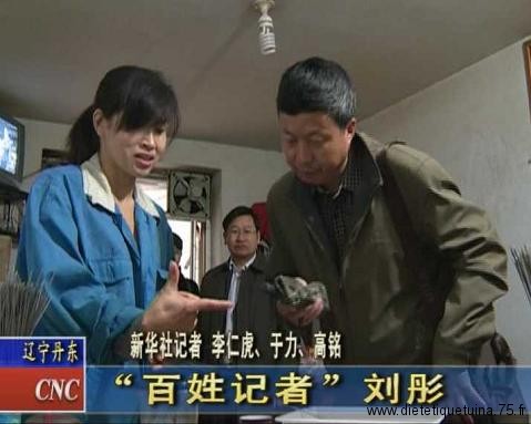 Les journalistes chinois