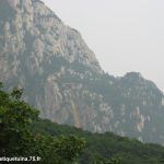 Monts Song en Chine