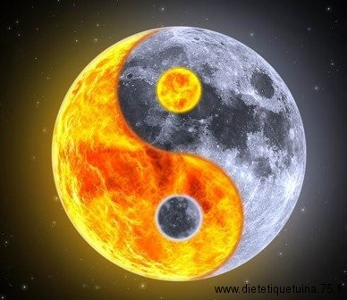 Medecine chinoise: les causes des maladies
