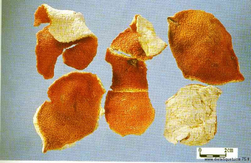 Peau de mandarine (Chen Pi) séchée dans la pharmacopéé chinoise Chen Pi est la peau de mandarine selon la pharmacopéé chinoise