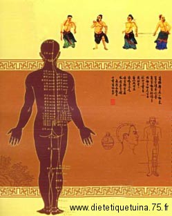 Le systeme des meridiens en médecine chinoise