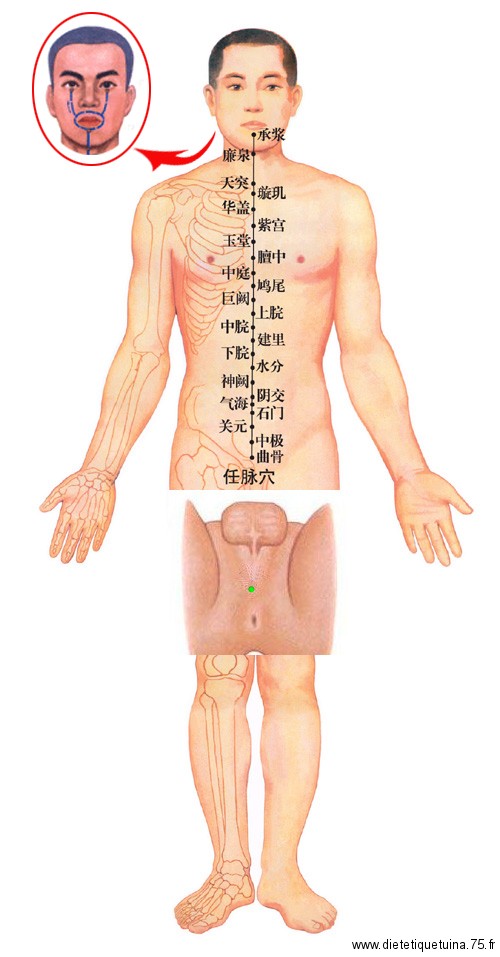Les points d'acupuncture du vaisseau conception "renmai" Vaisseau conception appelé "renmai" en médecine chinoise