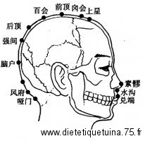 17 point d'acupuncture du vaisseau gouverneur Point Nao Hu du vaisseau gouverneur