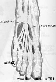 Vue avec tendons du 67ème point du méridien de la vessie Point d'acupuncture V67