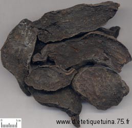 Pharmacopée chinoise: morceaux de Heshouwu morceaux de Heshouwu séché