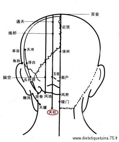 Point d'acupuncture de la médecine chinoise