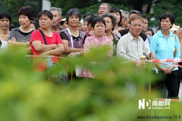 Des habitants attendent la distribution des azalées Distribution d'azalées gratuite en Chine