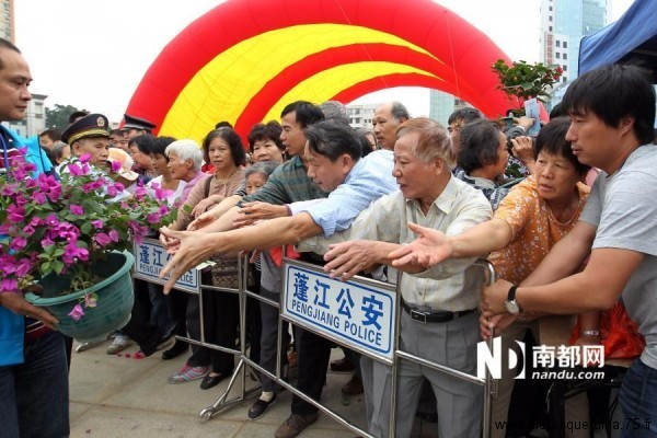 Distribution d'azalées gratuit en Chine Donner des plantes gratuitement