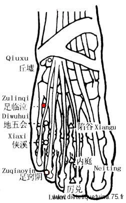 Le point D'acupuncture 41VB Medecine chinoise et les points d'acupunctures