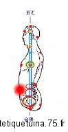 Alignement du point Bai-hui et Hui-Yin Point Bai Hui sur la même ligne que le point Hui Yin