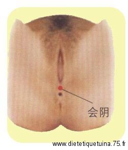 Localisation du point Hui Yin chez la femme Point hui yin, le premier point du vaisseau conception