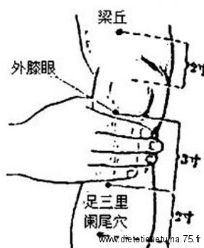 Point Zu San Li à 3 cun de Du Bi (35E) Où est le point Zu San Li du méridien de l 'estomac ?