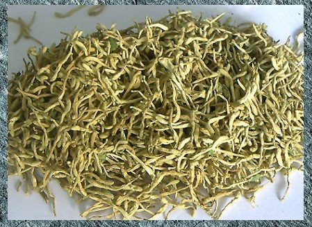 Pharmacopée chinoise : Chèvrefeuille Le chèvrefeuille séché