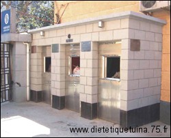 Petite maison pour poubelles