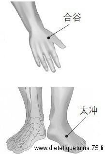 Points des 4 barrieres (Tai Chong et He Gu) Combinaison de points appelés "points des 4 barrieres"