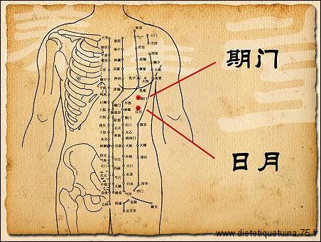 24ème point d'acupuncture du méridien de la vésicule biliaire
