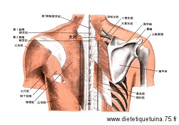 Point d'acupuncture du méridien de la vessie