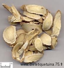 Huang Qi est la racine d'astragale