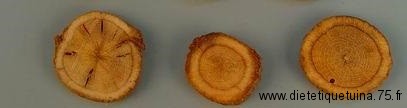 Racine d'astragale au miel : Mi Zhi Huang Qi La racine d'astragale au miel