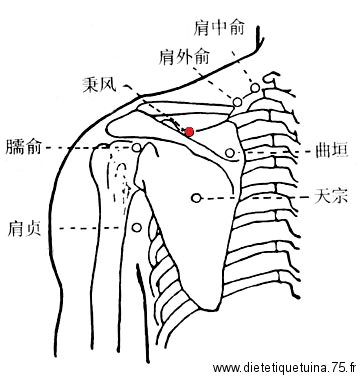 Point 12IG (Bing Feng) - médecine chinoise Méridien de l'intestin grêle, point 12IG