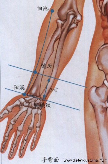 6ème point du méridien du gros intestin