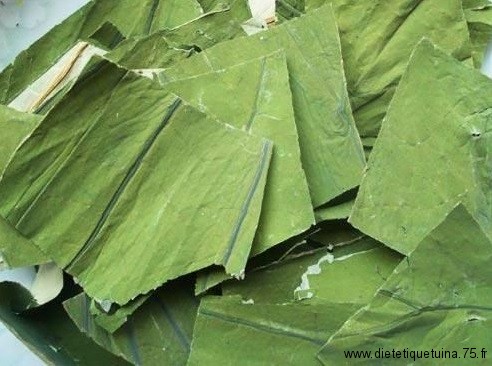 He ye les feuilles de lotus séchèes