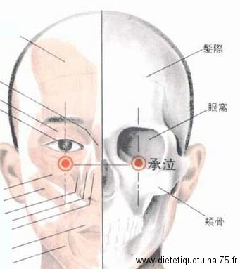 Le 1er point du méridien de l'estomac Le point 1E (Cheng Qi)