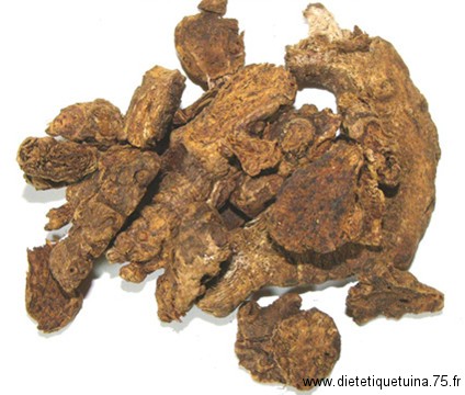 Rhizome d'atractyle préparé (Chao Bai Zhu) Chao Bai Zhu en pharmacopée chinoise