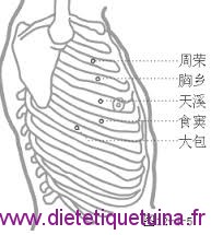 Le point Shi Dou du méridien de la rate