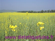 La province du Hebei