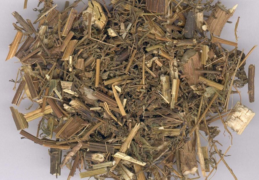 Armoise annuelle de la pharmacopée chinoise