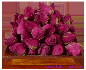 Les roses chinoises