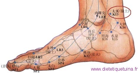 Le 3ème point du méridien des reins