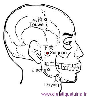 Point Xia Guan : 7E Point 7E duméridien de l'estomac