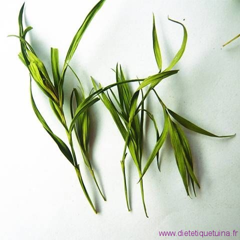 Dan Zhu Ye , feuille de bambou