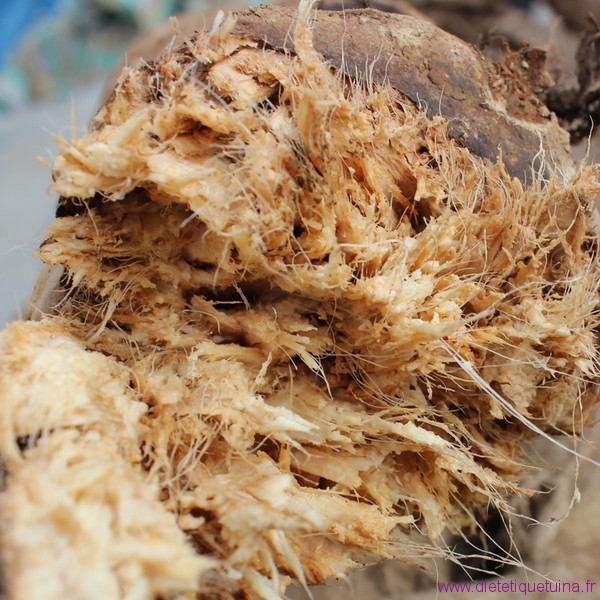 Racine de kuzu broyée en fibre racine broyéede kuzu