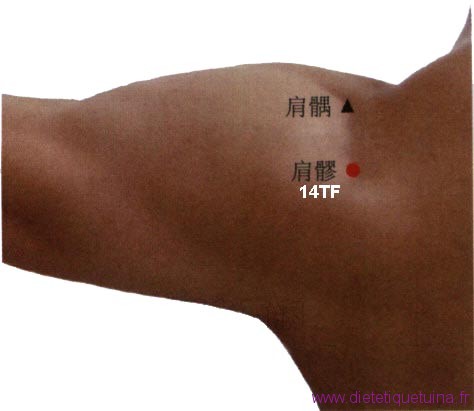 Point 14TF