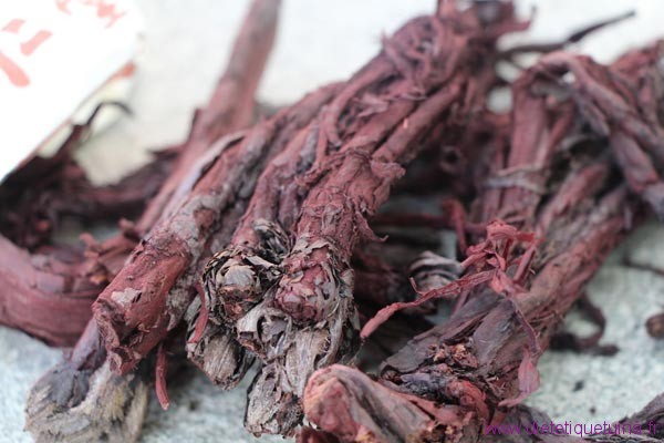 racine de l'herbe chinoise Zi cao
