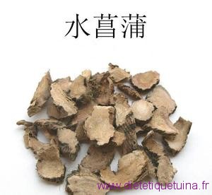 Rhizome de l'acore odorant seché Rhizome de l'acore odorant